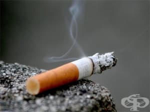 В Ямбол няма нарушители на забраната за пушене